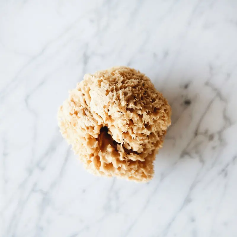 100% Natural Sea Sponge For Gentle Cleansing 1