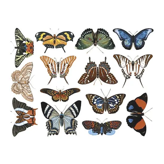 Artistic Butterfly Decal Set #2 For Enamel, Ceramic, And Glass Surfaces 1