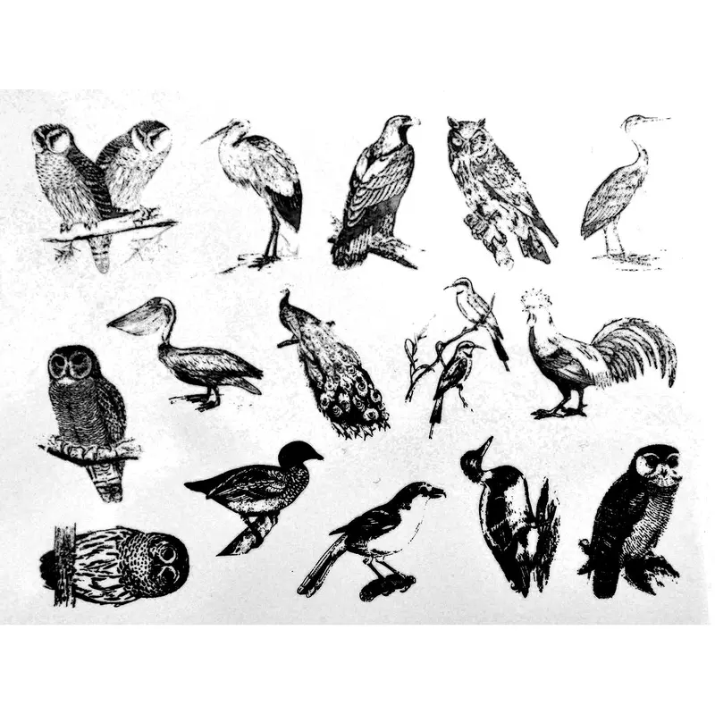 Assorted Bird Decals For Enamel, Ceramic & Glass Applications 1