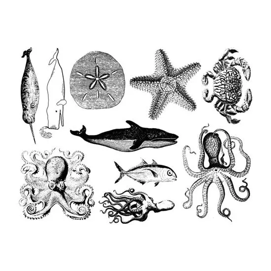 Assorted Sea Life Decals For Enamel, Ceramic, And Glass Decoration 1
