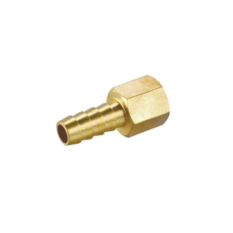 Brass Hose Tail Connector: 1/4" Female × 8 Mm Id 1