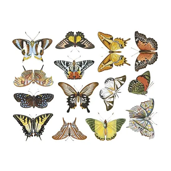 Bright Butterfly Decal Pack #1 For Enamel, Ceramic, And Glass Use 1