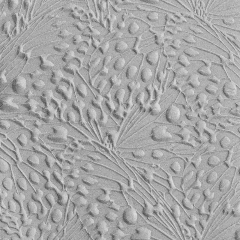 Butterfly Wings Embossed Surface Tile 1
