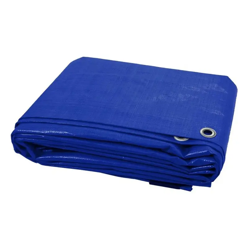 Dekton Standard Duty Tarp – 6Ft X 9Ft, 65 Gsm, Blue 1
