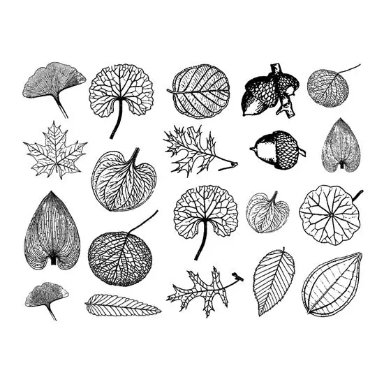 Delicate Leaf Motif Decals For Enamel, Ceramic, And Glass Art 1