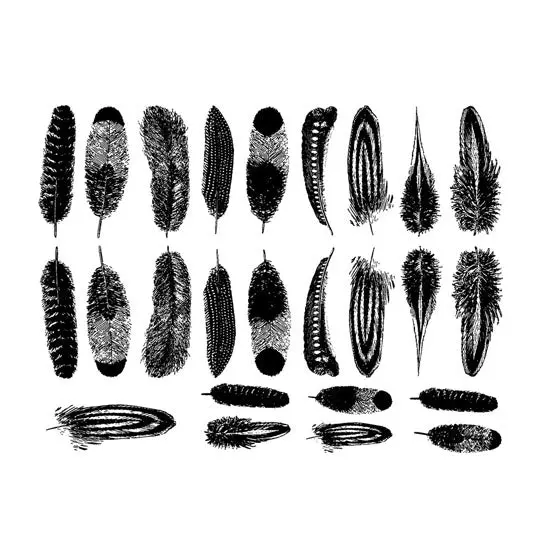 Feather Pattern Decals Suitable For Enamel, Ceramic, And Glass Media 1