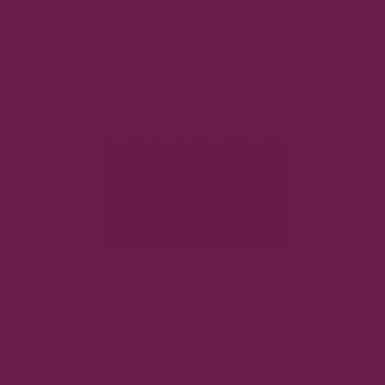 Ferro Sunshine Enamel – Magenta (77-1241), 10G 1