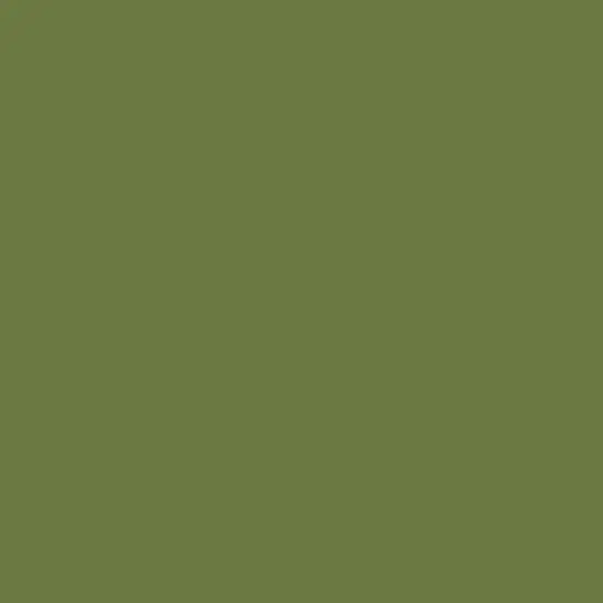 Ferro Sunshine Enamel Powder In Chrome Green (10G) 1