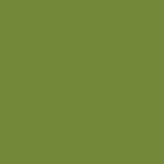 Ferro Sunshine Enamel Powder In Green (10G) 1