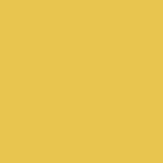 Ferro Sunshine Enamel Powder In Saffron Hue (10G) 1