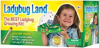 Insect Lore Ladybug-Themed Learning Kit For Kids 1