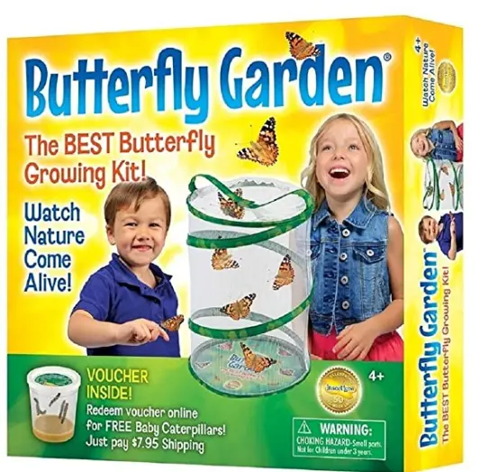 Insect Lore Live Butterfly Garden Rearing Kit 1