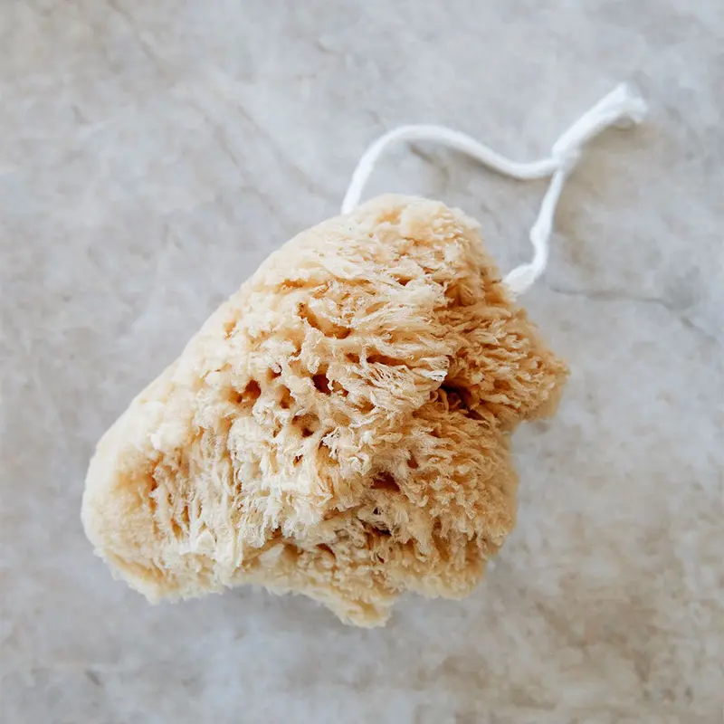 Large Natural Sea Sponge On Hanging Rope 1