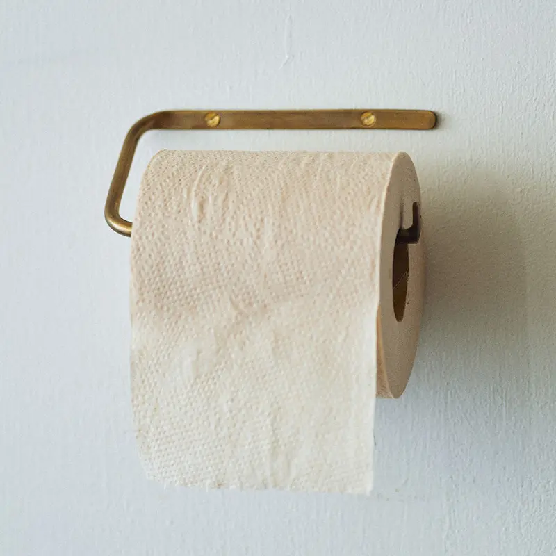 Polished Brass Toilet Paper Holder 1