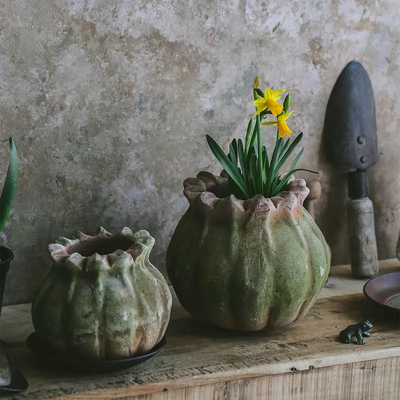 Terracotta Poppy-Inspired Planter With Antique Finish 1